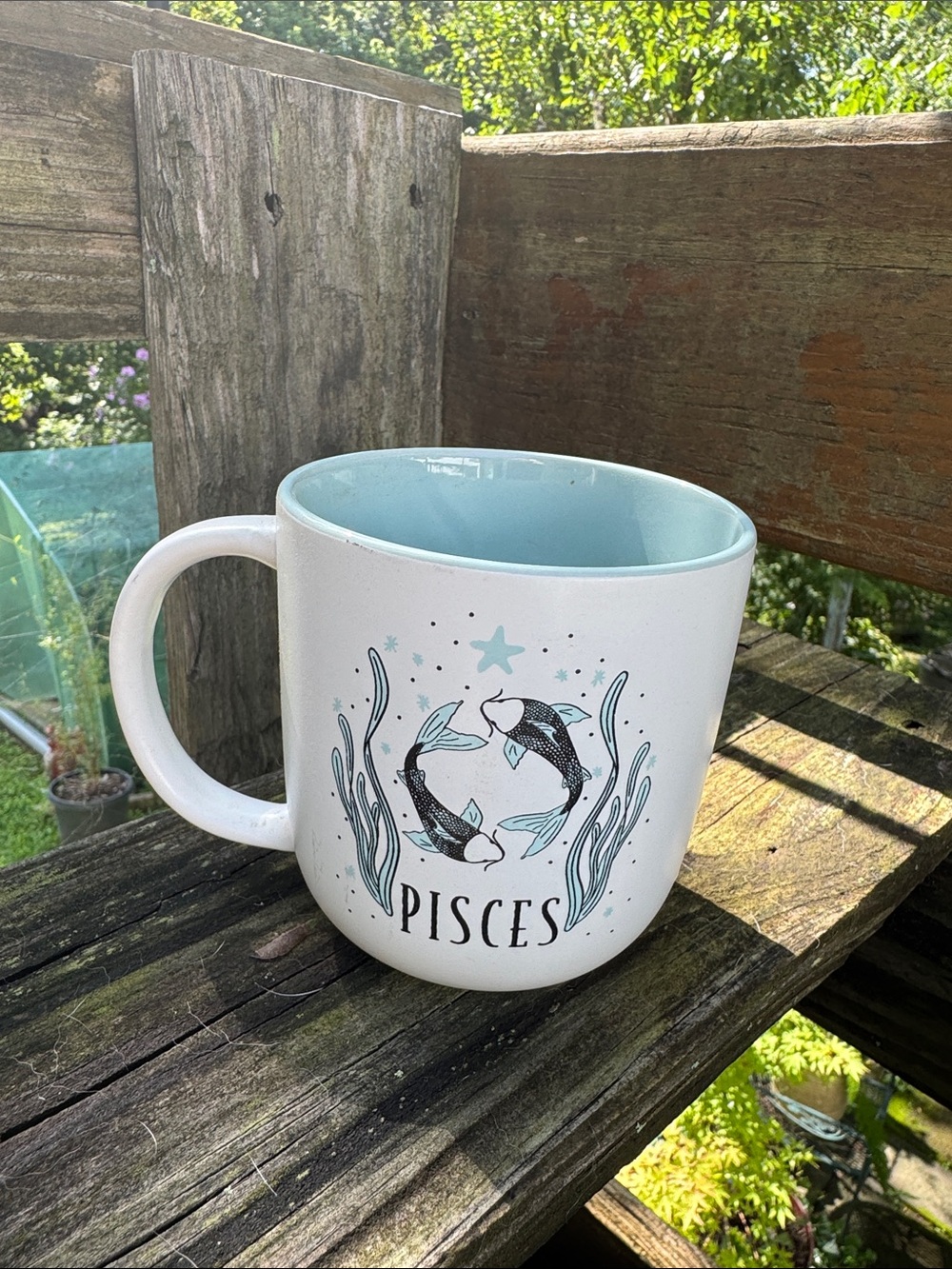 Pisces Ceramic Mug in Light Blue and Black - Zodiac Fish Design